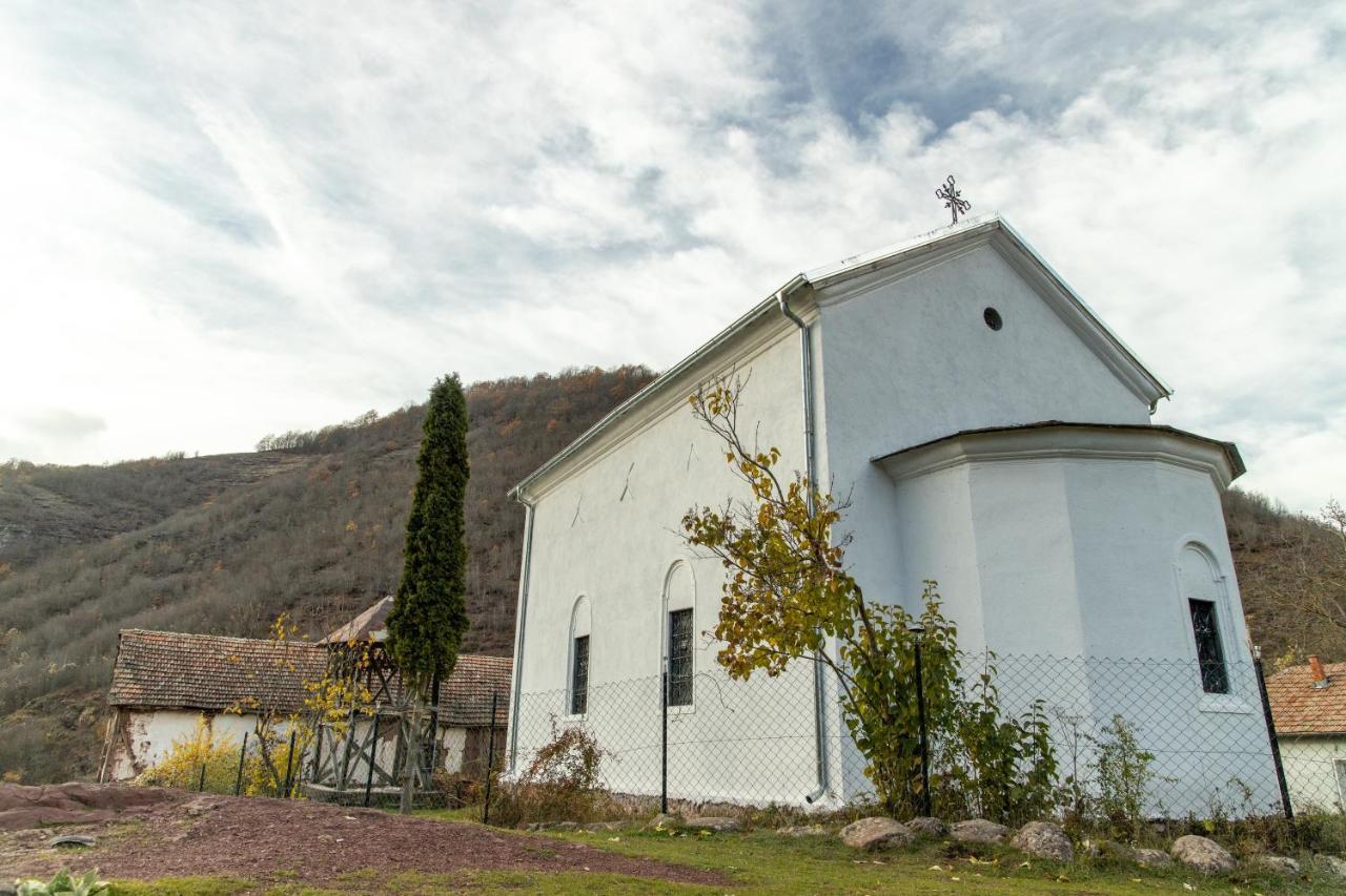 Kuca Stojanovica Topli Do Pirot Exterior photo